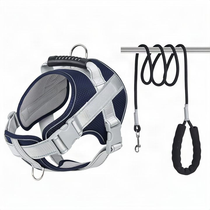 Dog harness made of polyester with leash, multiple sizes