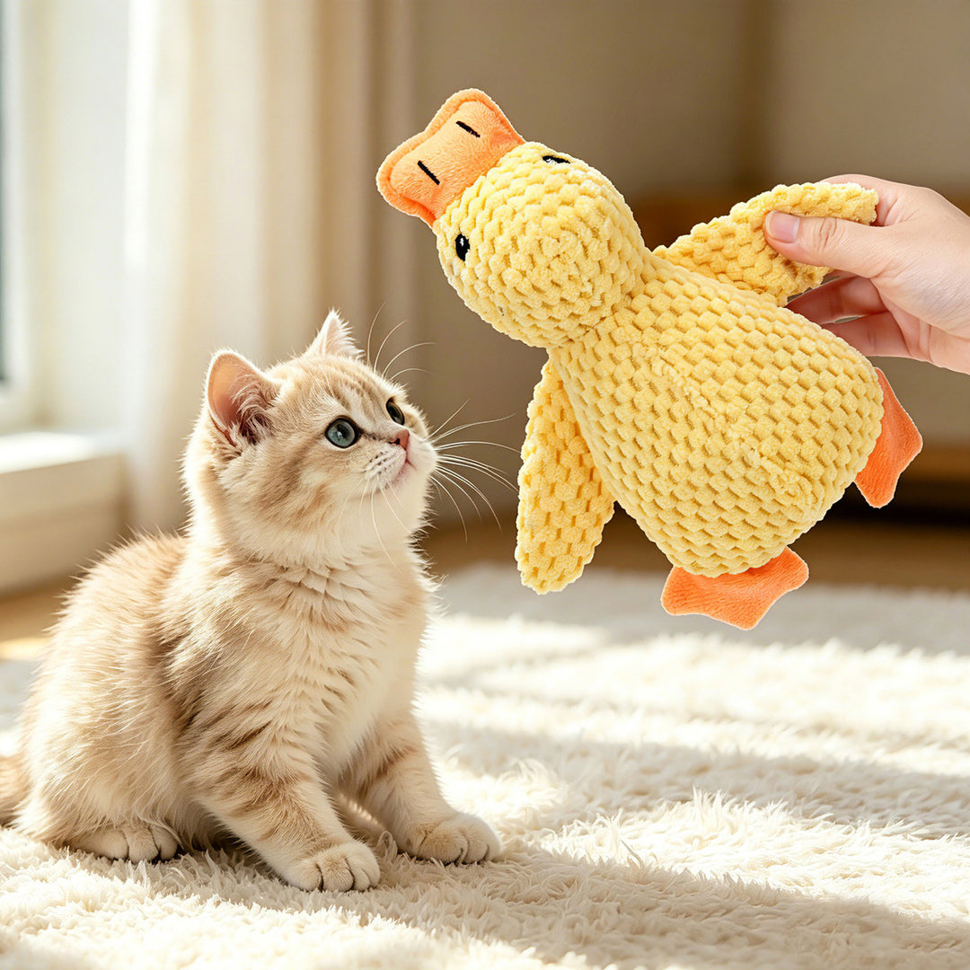Cat toy with mint and crinkly paper