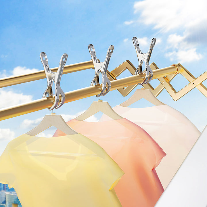 Stainless steel clothespins, large, wind resistant