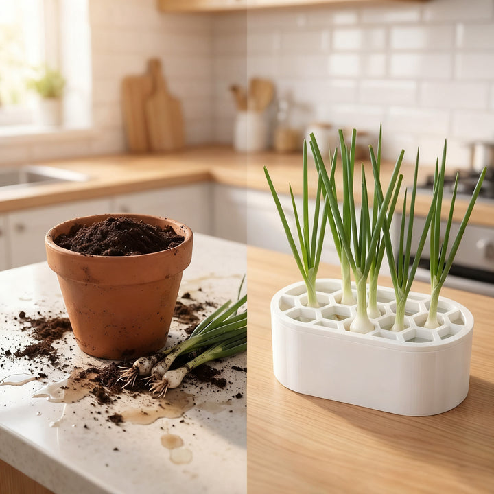 Hydroponic growing box for herbs and vegetables