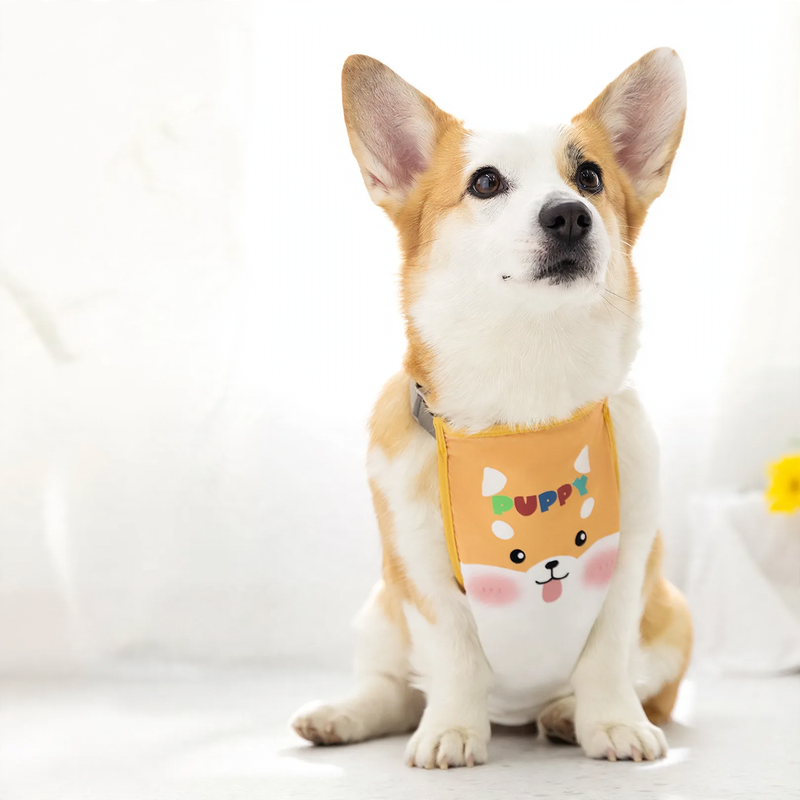 Waterproof belly protection vest for dogs