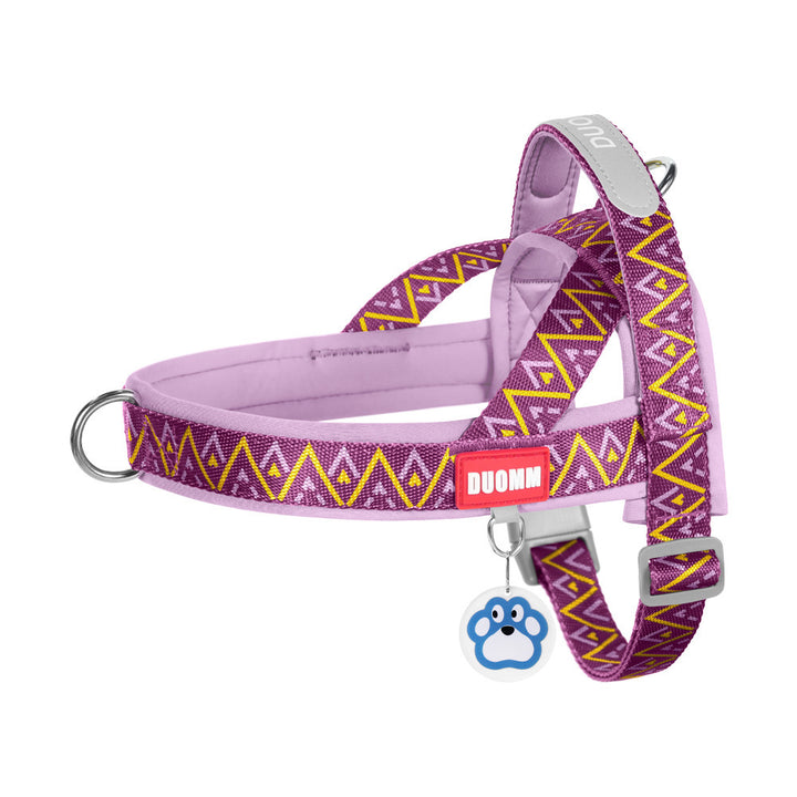 Padded dog harness with leash