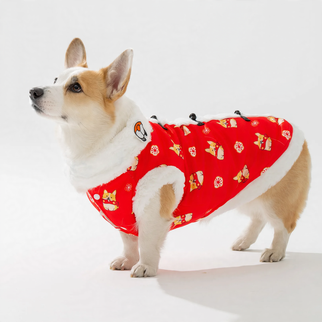 Chinese winter coat for medium dogs with scarf