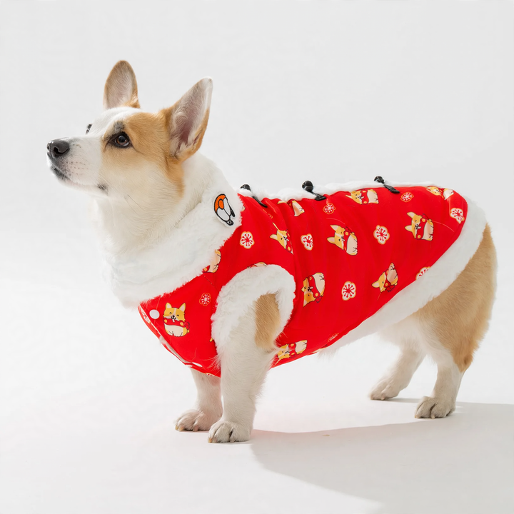 Chinese winter coat for medium dogs with scarf