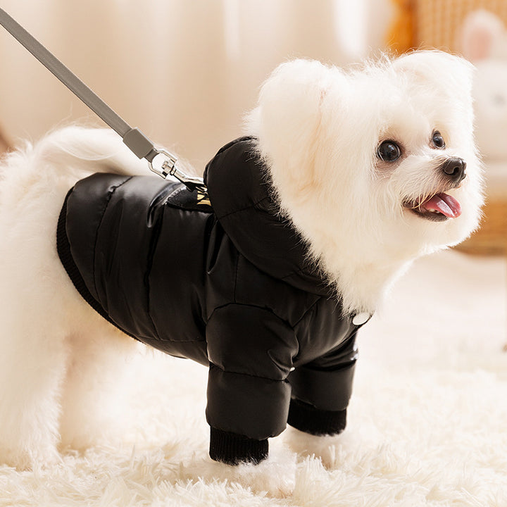 Cat jacket with leash for tethering