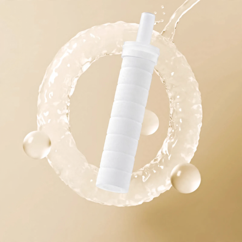 Portable shower head with pressure boost and filter
