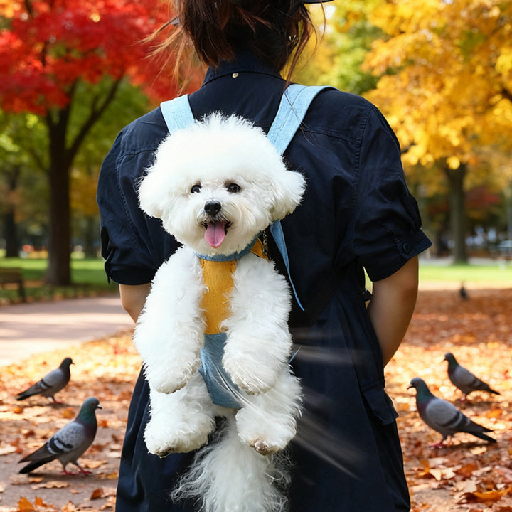Transport backpack for dogs and cats, canvas