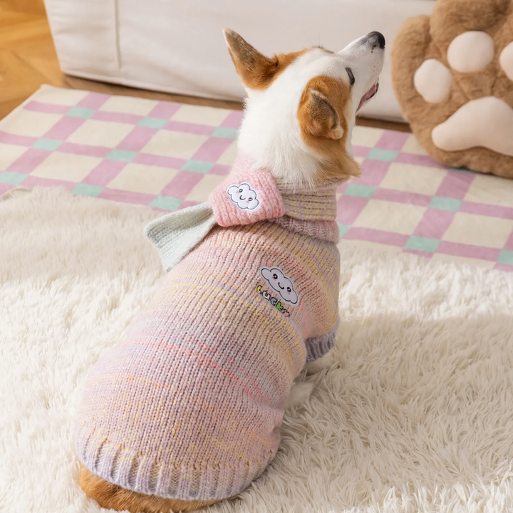 Rainbow sweater for dogs, four seasons