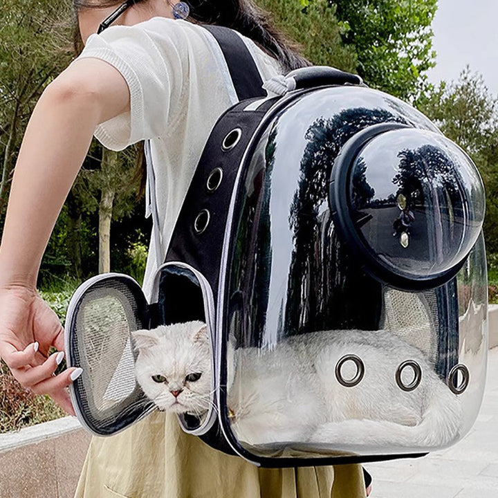 Transport backpack for dogs and cats, canvas