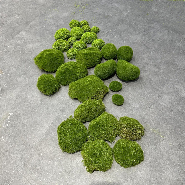 Javamoos Portion, dried