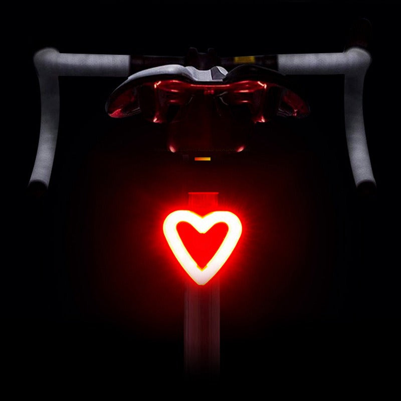 LED bicycle light with USB charging