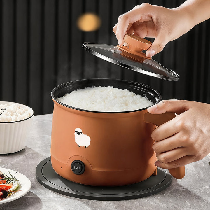 Electric Pressure Cooker 3L, Model RCWY-830B