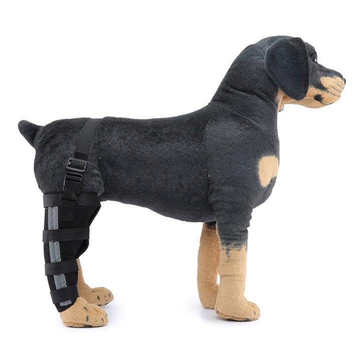 Hind leg support sleeve for dogs, year-round