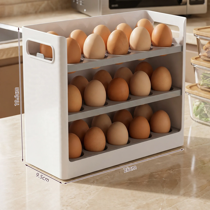 Egg storage box for the refrigerator