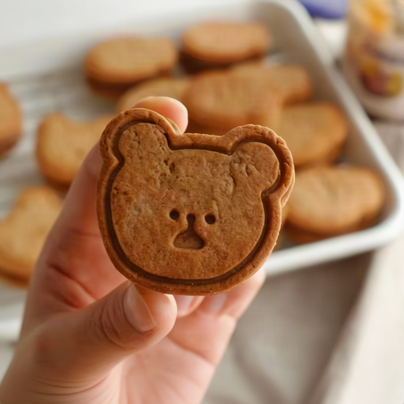 Cookie cutters plastic, various designs