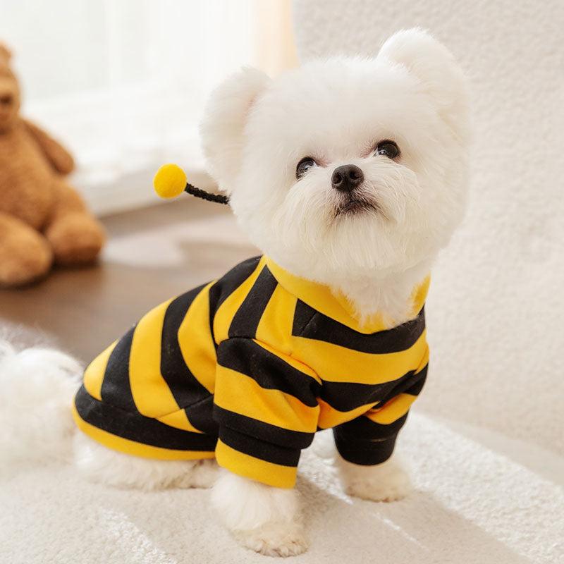 Sweatshirt for dogs and cats with bee motif