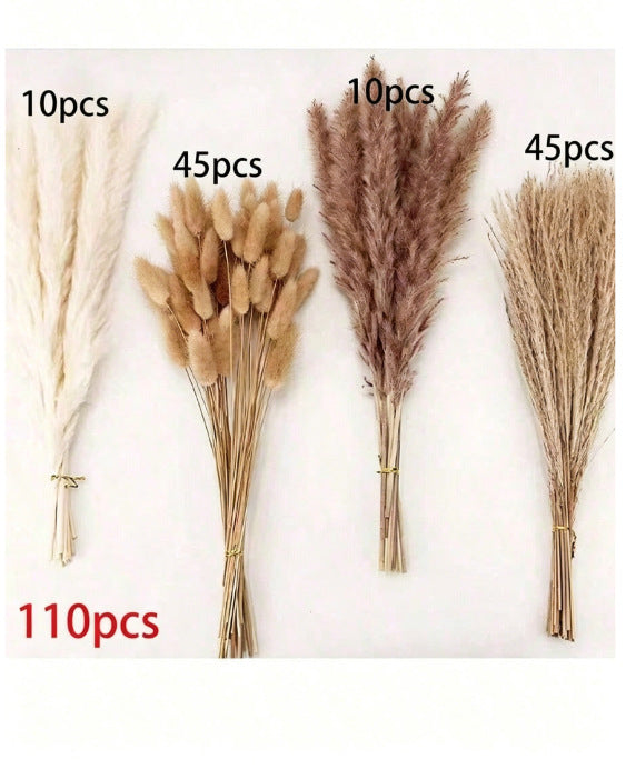 Bleached pampas grass, 145 cm, 10 pieces