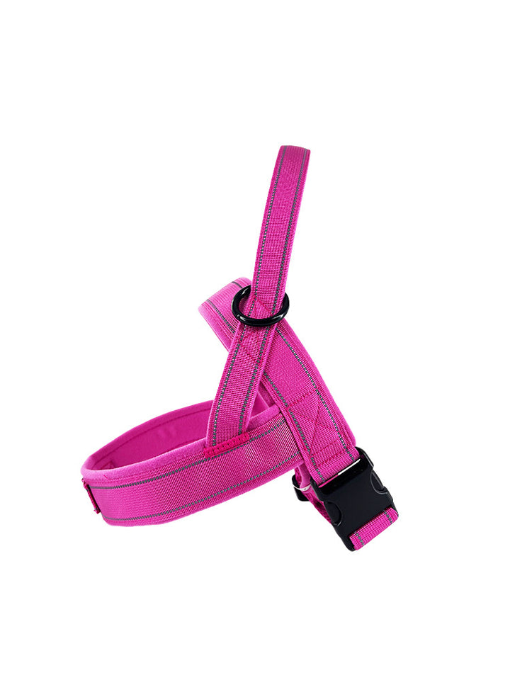 Cat harness padded, adjustable