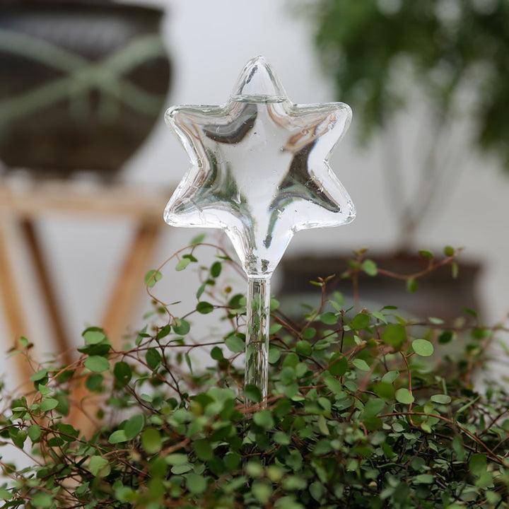 Glass drinkers for plants, various shapes