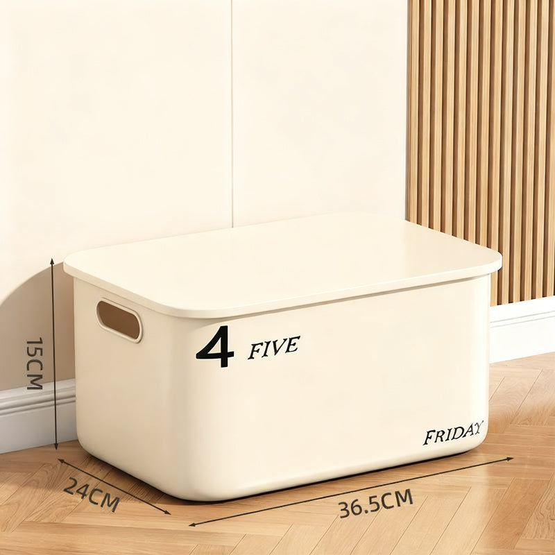 Plastic storage box with lid, medium size