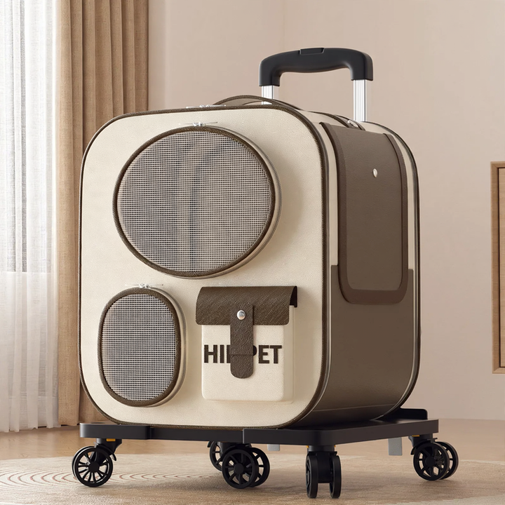 Pet transport box with wheels