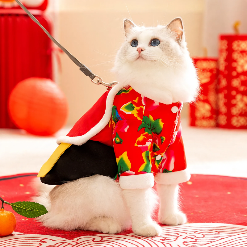 Padded winter clothing for cats and dogs