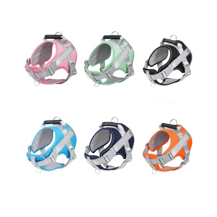 Dog harness made of polyester with leash, multiple sizes