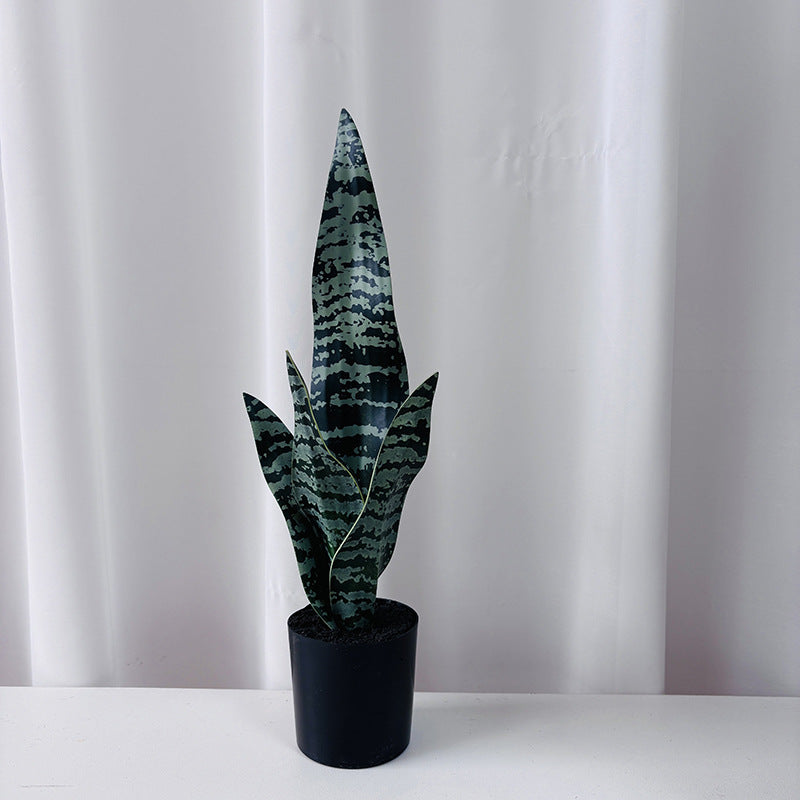 Artificial plant Sansevieria, 50 cm, PE