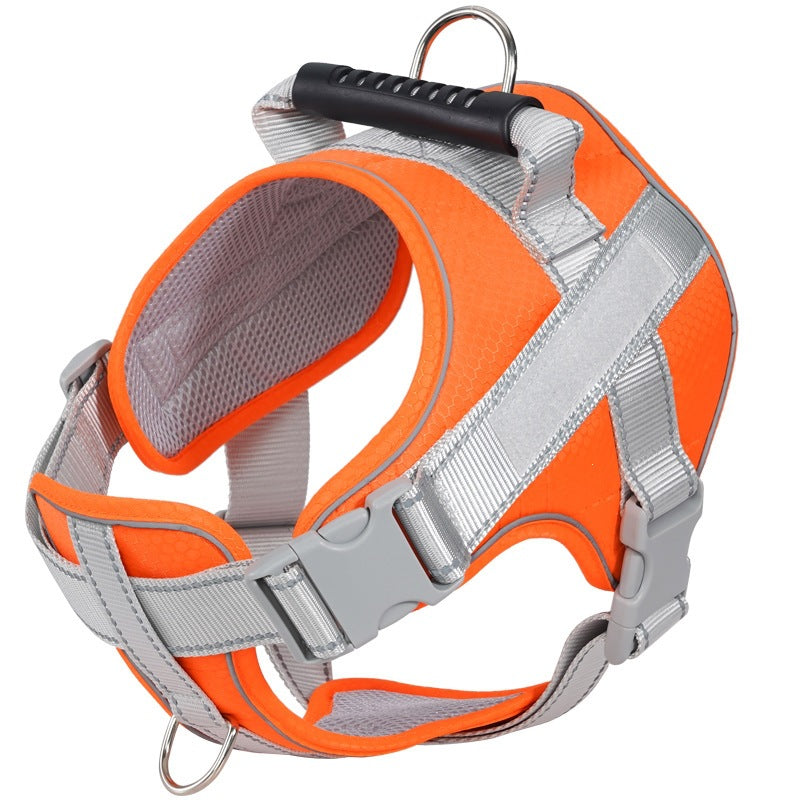Dog harness made of polyester with leash, multiple sizes
