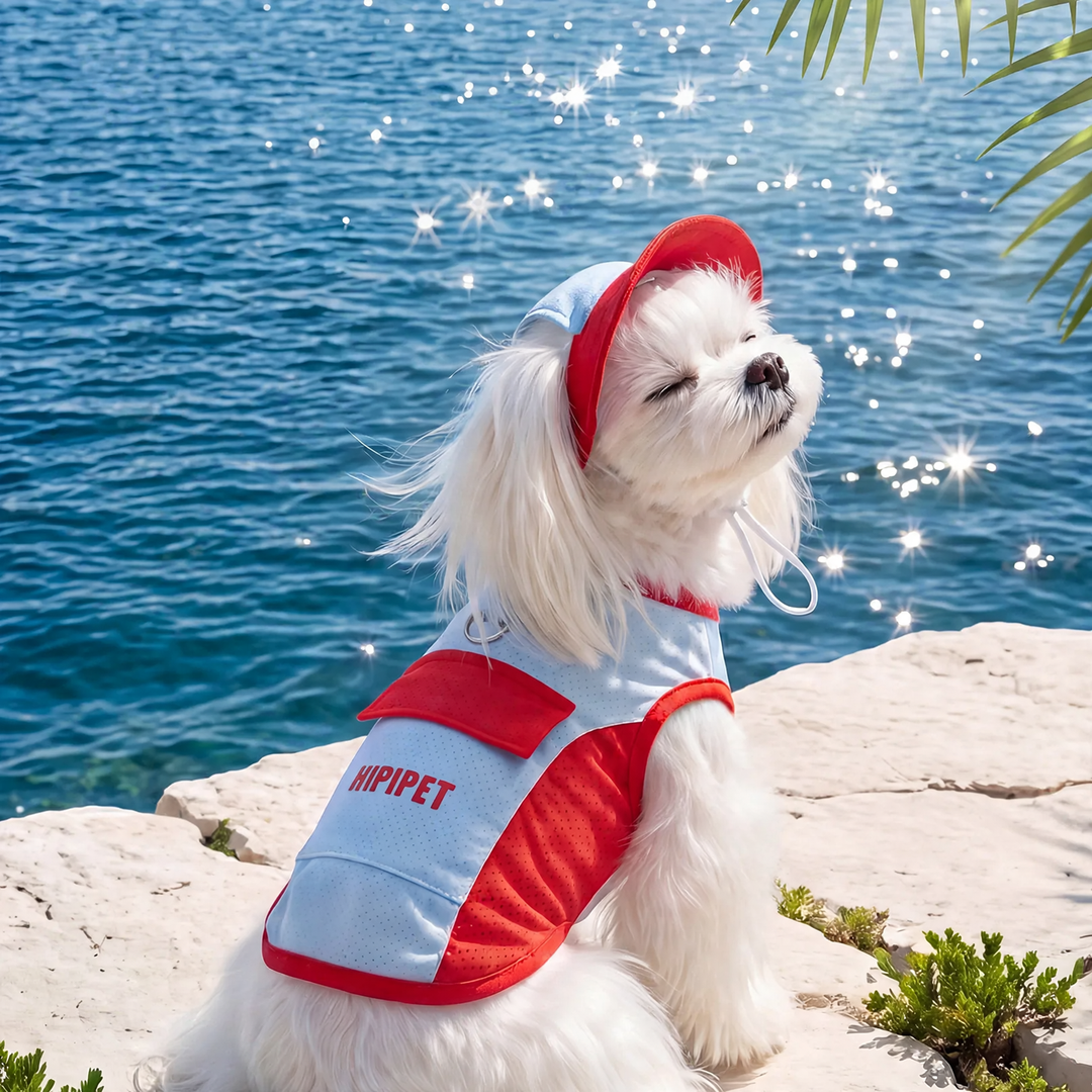Summer Dog Shirt, Cooling, with Leash