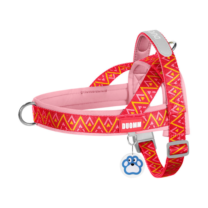 Padded dog harness with leash
