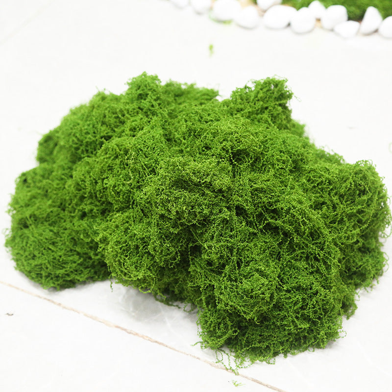 Javamoos Portion, dried