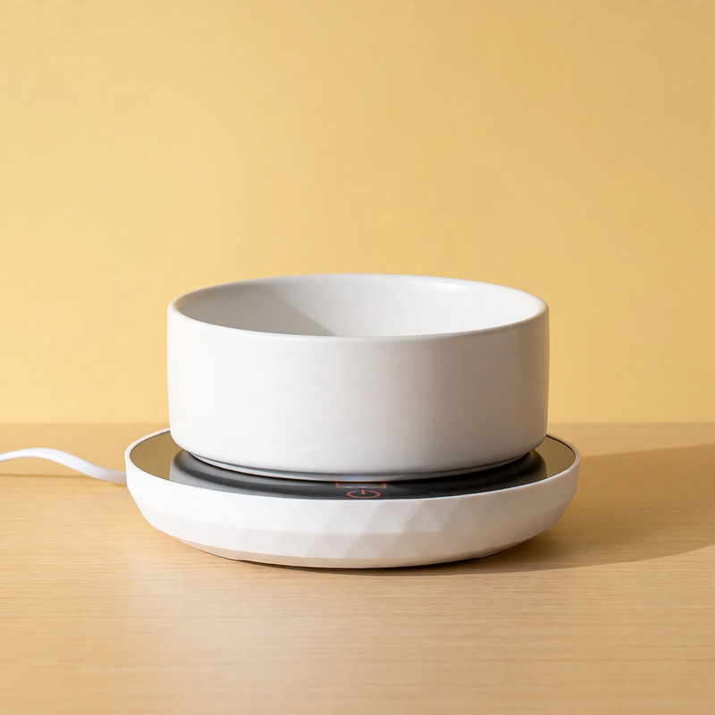 Heated ceramic bowl for cats and dogs