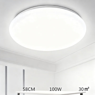 Ceiling light with LED and voice control