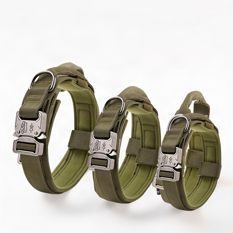 Nylon dog collar with handle