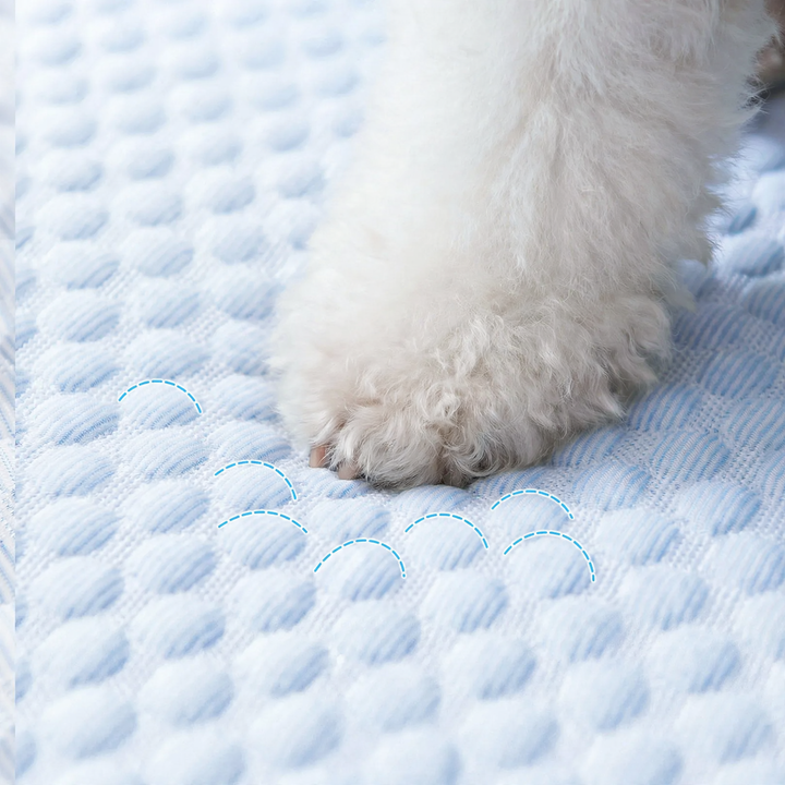 Cooling mat for dogs and cats, fruit design