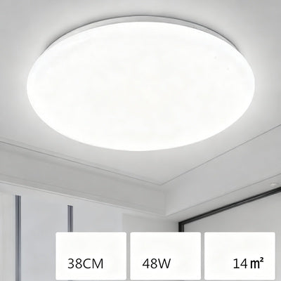 Ceiling light with LED and voice control