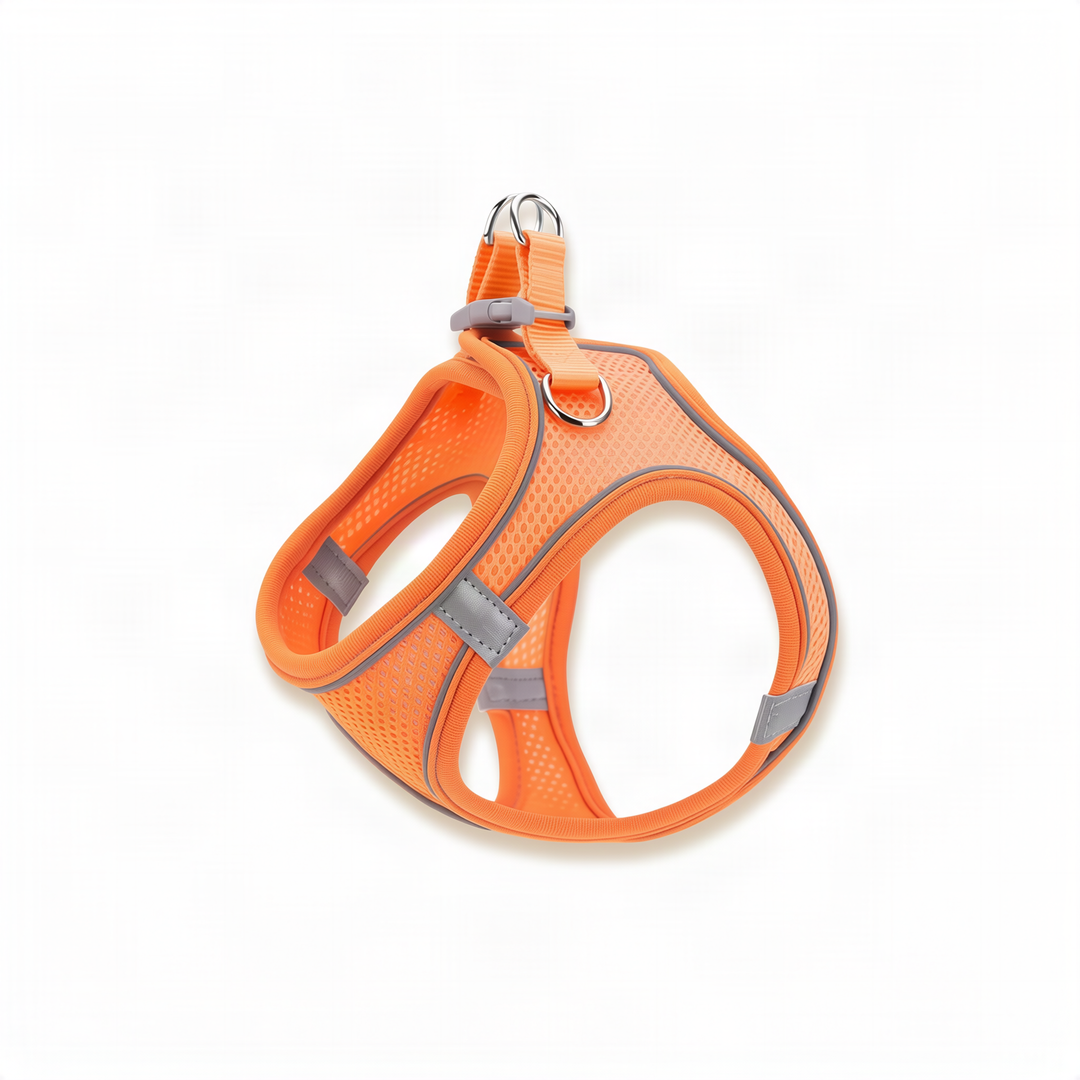 Dog harness made of fabric with leash, XS to XL