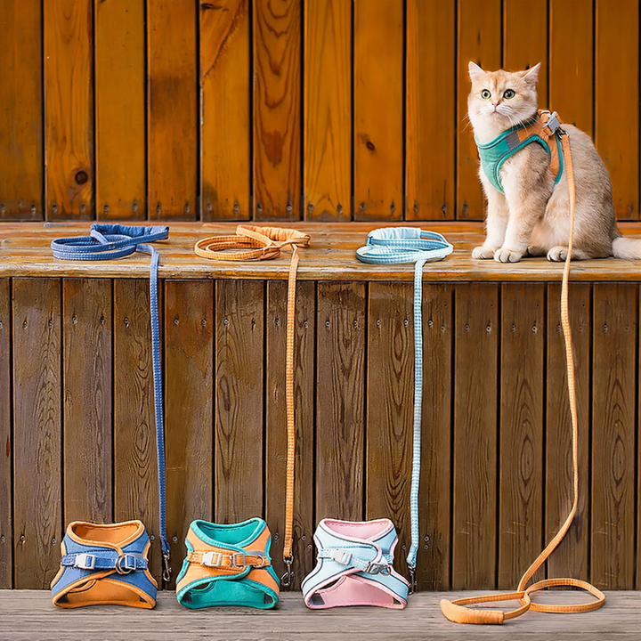 Reflective harness with leash for cats and small dogs