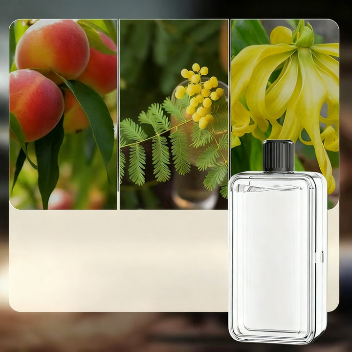 Aroma Diffuser with ultrasonic misting