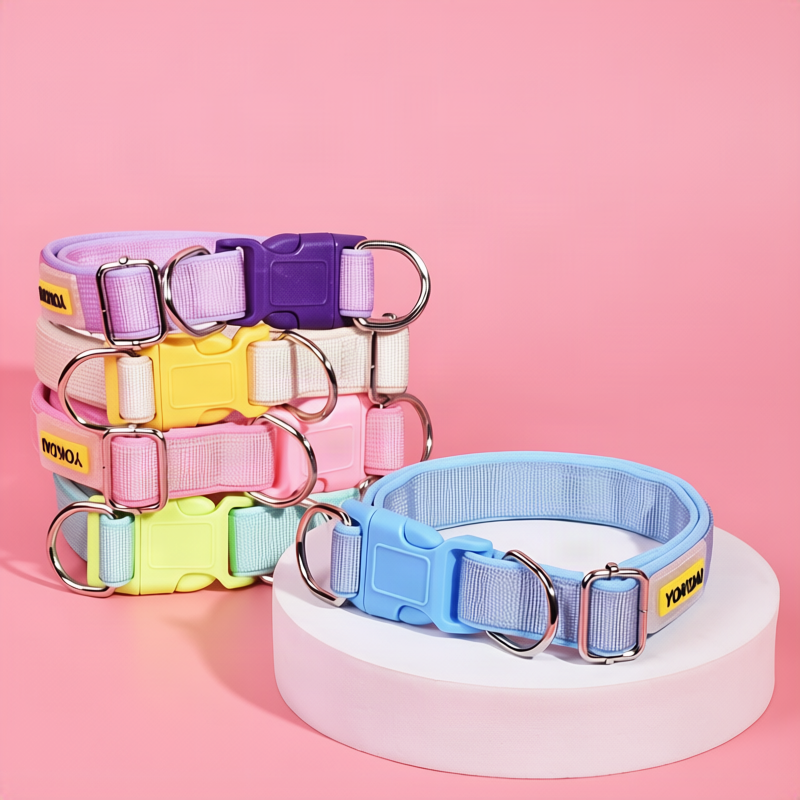 Dog collar made of polypropylene