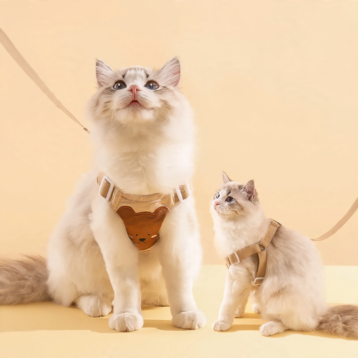 Dishes for cats and dogs, vest with leash