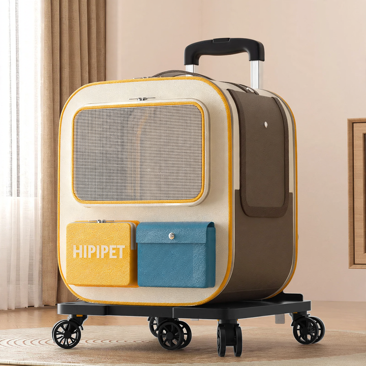 Pet transport box with wheels
