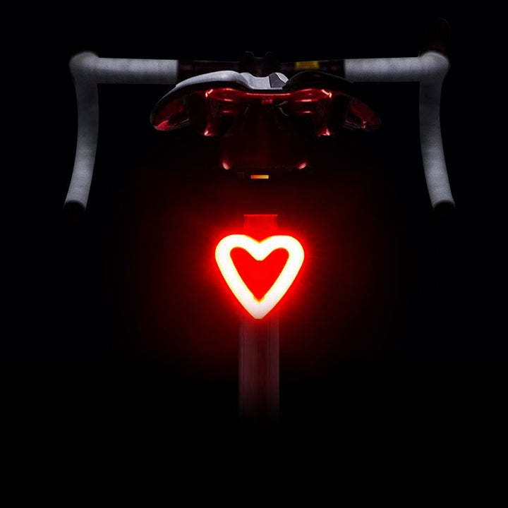 LED bicycle light with USB charging