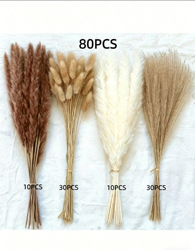 Bleached pampas grass, 145 cm, 10 pieces