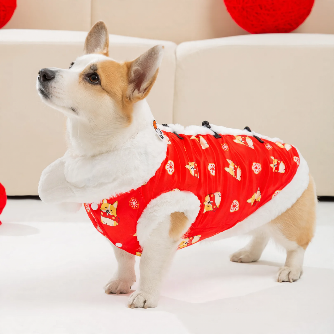 Chinese holiday vest for dogs, silk