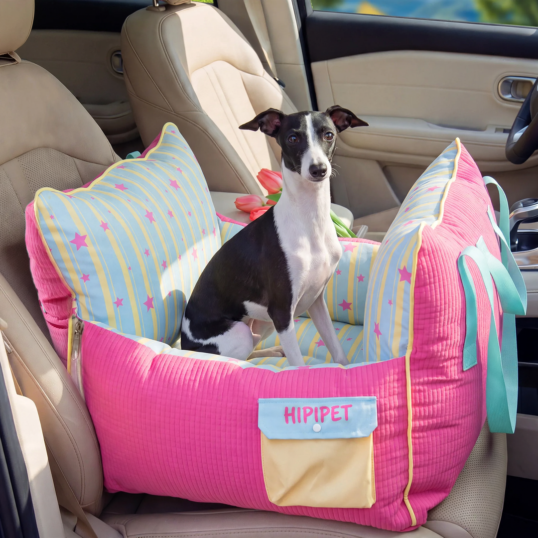 Pet Car Seat, breathable, various sizes