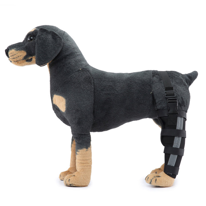Hind leg support sleeve for dogs, year-round