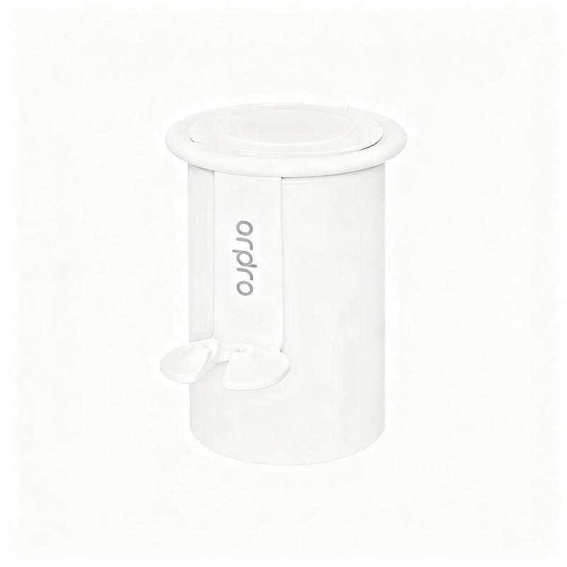 Magnetic toothbrush and rinse cup holder