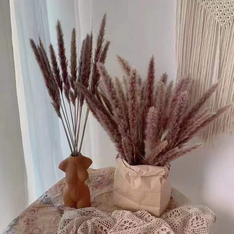 Bleached pampas grass, 145 cm, 10 pieces